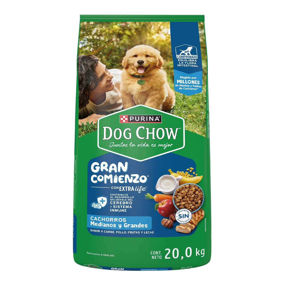 MASC DOG CHOW CACHORRO RAZ MED/GDE 20/KG