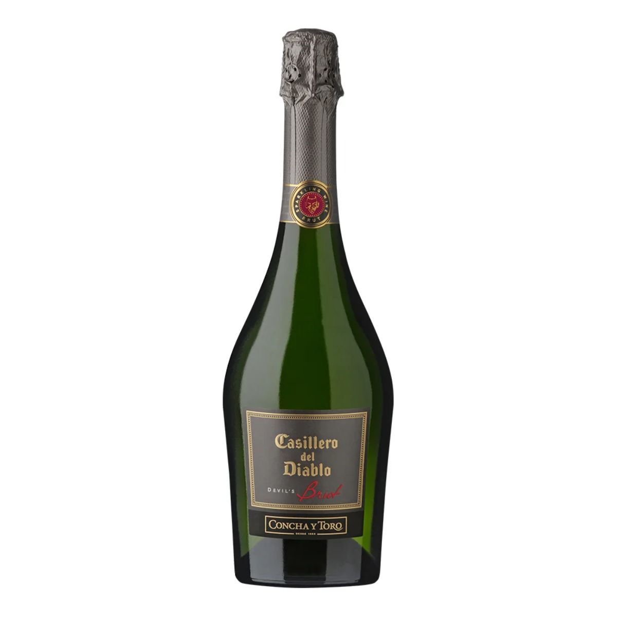 VME CASILLERO DEL DIABLO BRUT CO 6/750ML