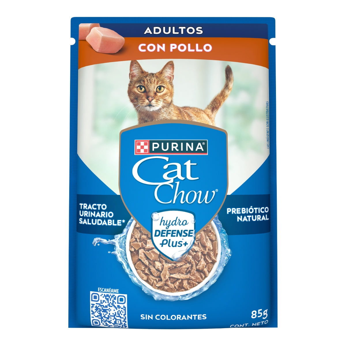 MASC CAT CHOW POLLO POUCH12/85GR