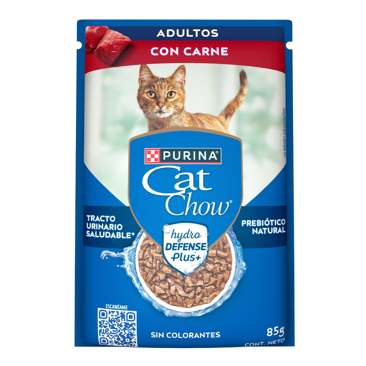 MASC CAT CHOW CARNE POUCH12/85GR