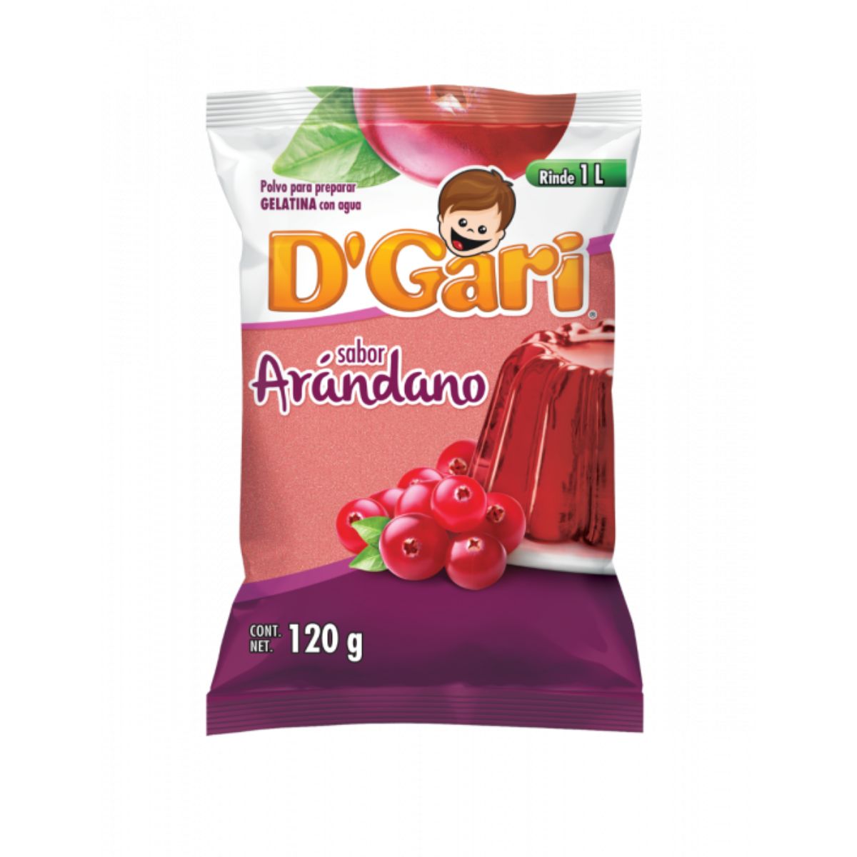 GEL DGARI AGUA ARANDANO120GR