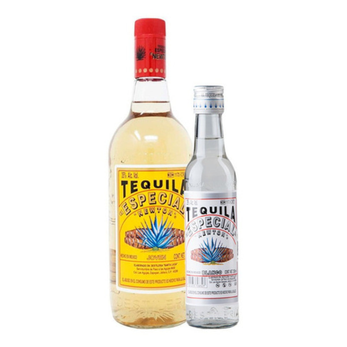 TEQ ESPECIAL NEWTON JOVEN+PACHA1LT