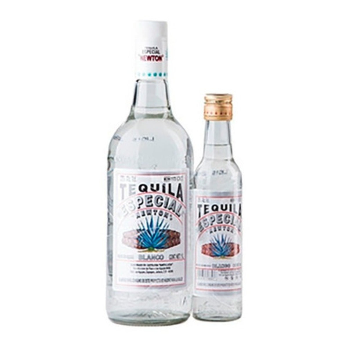 TEQ ESPECIAL NEWTON BLANCO+PACHA 8/1LT