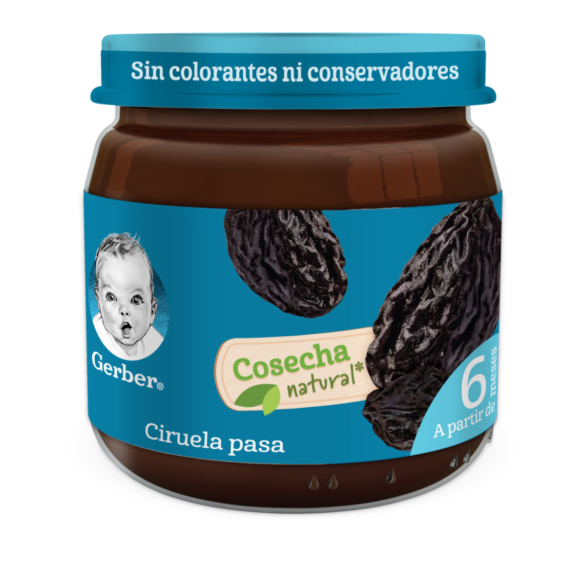 INF COL GERBER E2 CIRUELA PASA 100GR