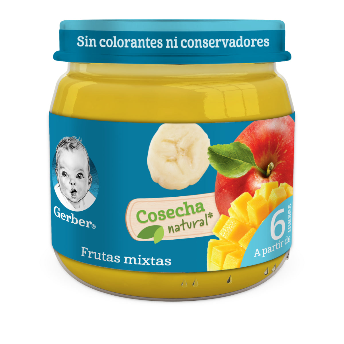 INF COL GERBER E2 FRUTAS MIXTAS100GR