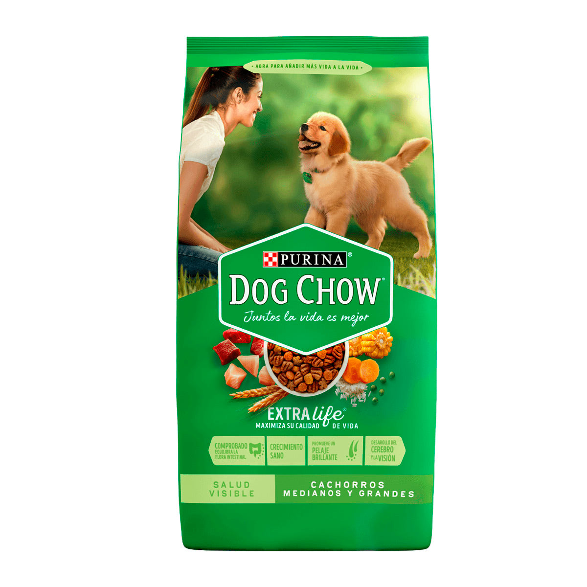 MASC DOG CHOW CACHORRO20KG