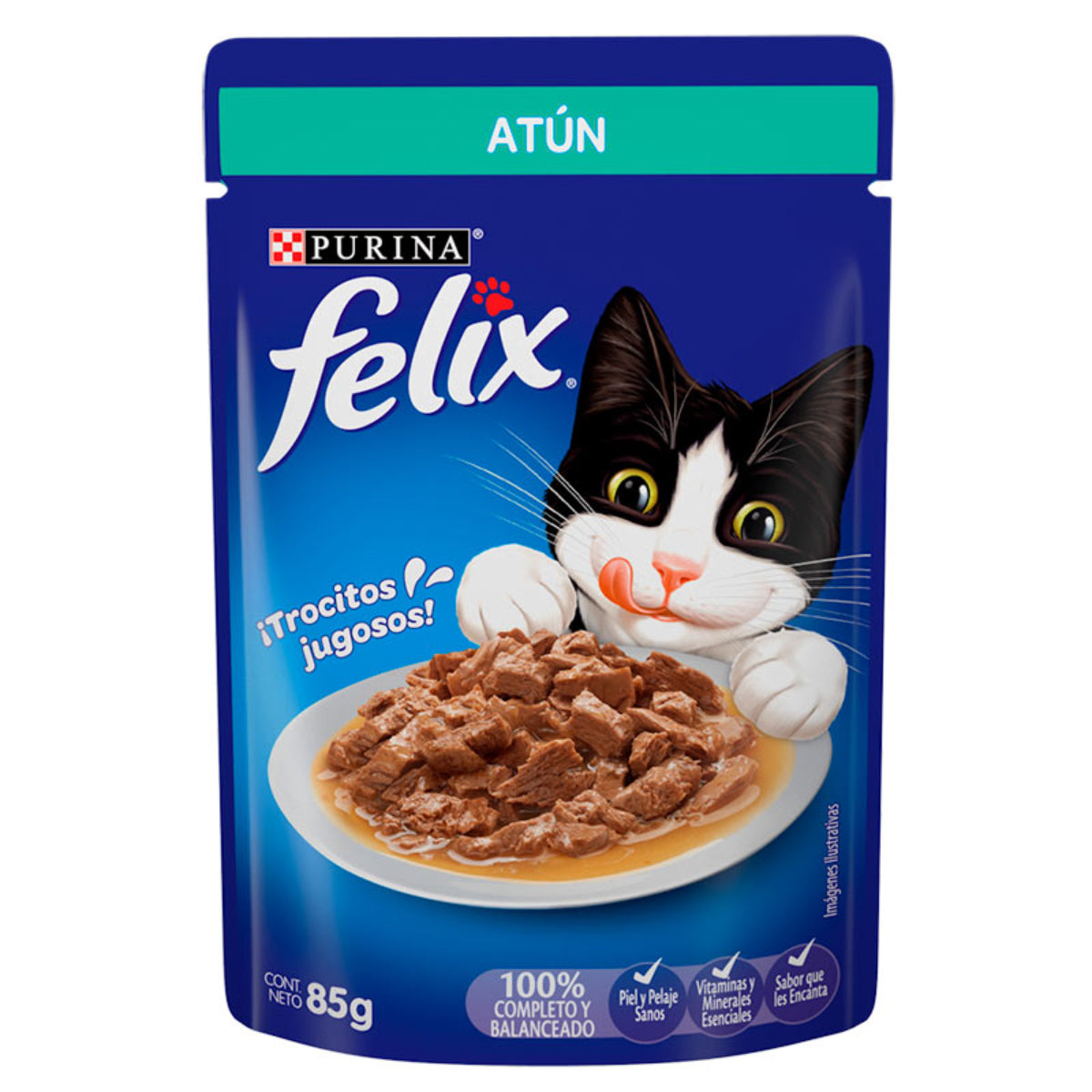 MASC FELIX ATUN SALSA24/85GR