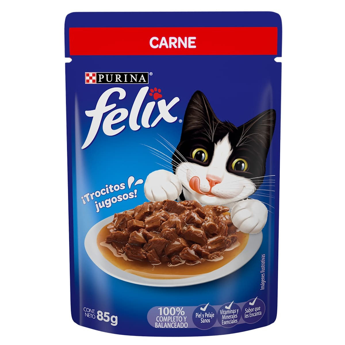 MASC FELIX CARNE SALSA 24/85GR