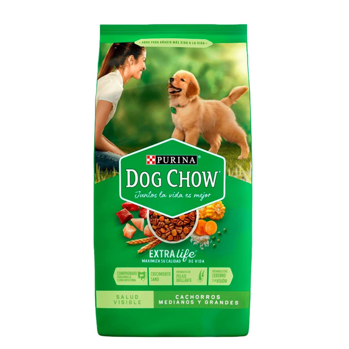 MASC DOG CHOW CACHORRO RAZ MED/GDE 20/KG