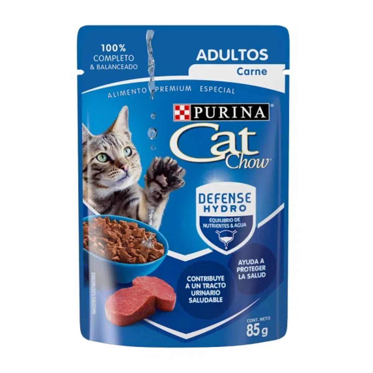 MASC CAT CHOW CARNE POUCH12/85GR