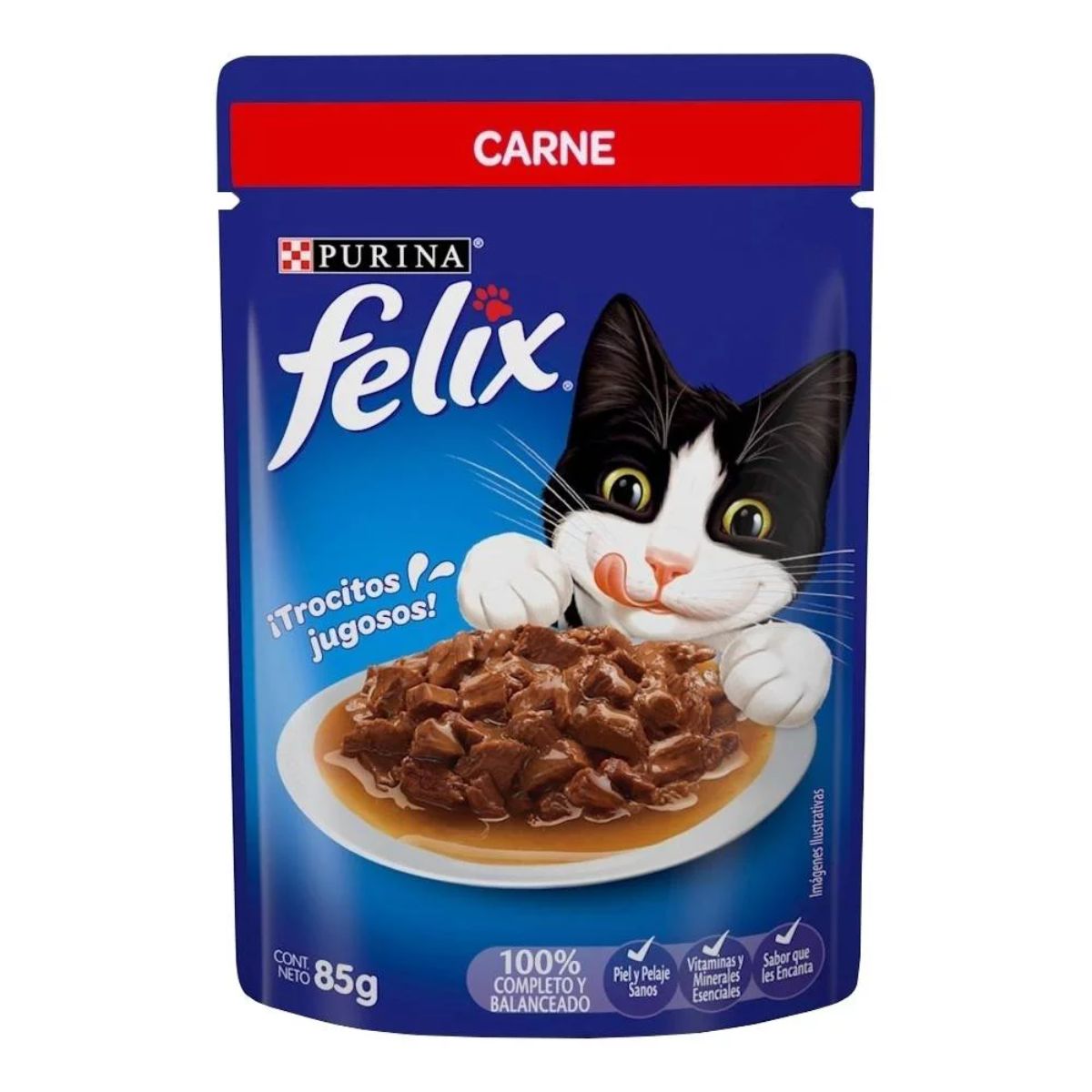 MASC FELIX POUCH CARNE 12/85GR